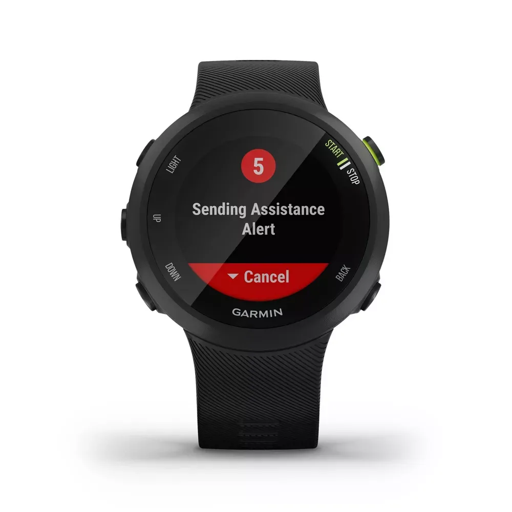 Garmin Forerunner 45